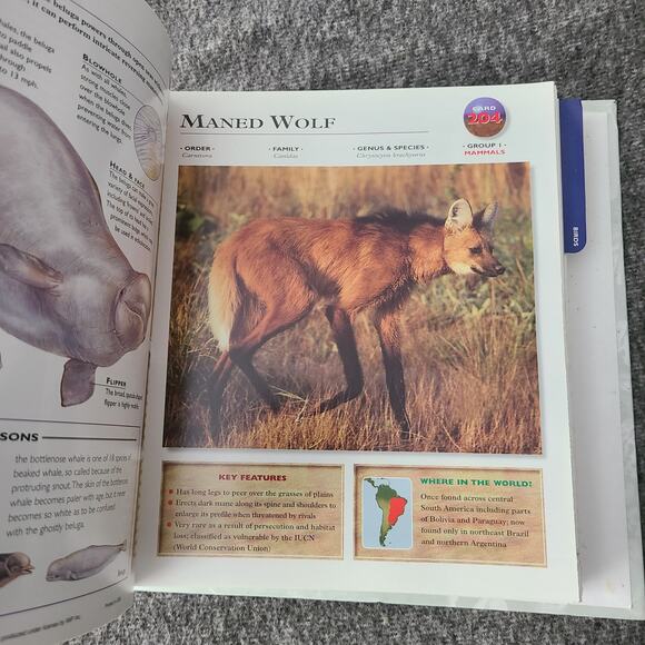 WILDLIFE EXPLORER Set 2 Binders w/Fact Cards Animal Birds Science Home School - Picture 12 of 15